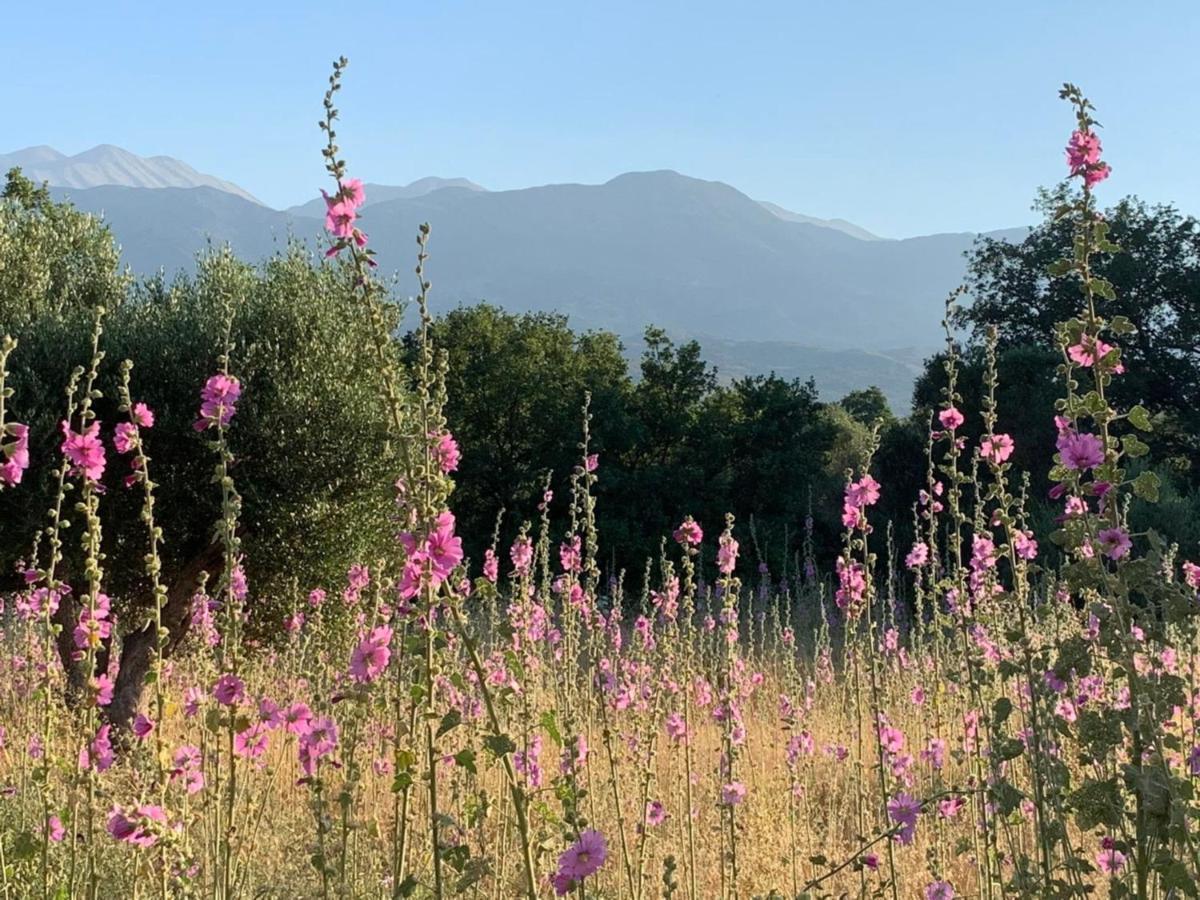 Villa Fatima Vríszesz Kültér fotó